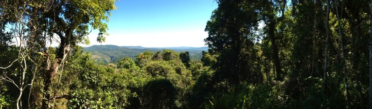 The first look out on our way up gave us a great view out over the top of the rainforest